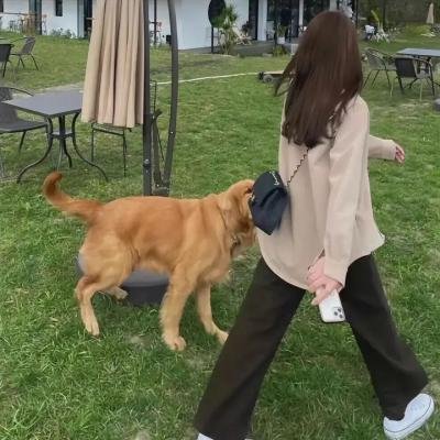 疯爱管家