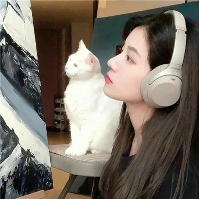 暂缓逮捕